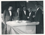 Viewing the model of GBMC