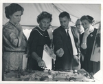 Viewing the model of GBMC_2